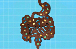 El Snack Número 1 para una Mejor Salud Digestiva, Recomendado por un Gastroenterólogo El refrigerio n.° 1 para una mejor salud intestinal, recomendado por un gastroenterólogo