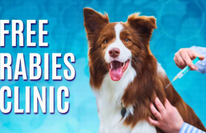 El Departamento de Salud del Condado de Chautauqua organiza clínicas de vacunación contra la rabia animal en la ciudad de Carroll El Departamento de Salud del Condado de Chautauqua organiza clínicas de vacunación contra la rabia animal en la ciudad de Carroll