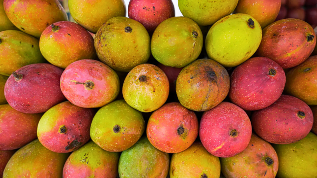 Mangos pakistaníes uso de pesticidas y problemas de salud mental entre los agricultores