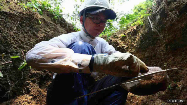 80 años después de Hiroshima la búsqueda continua de los desaparecidos en la isla Ninoshima