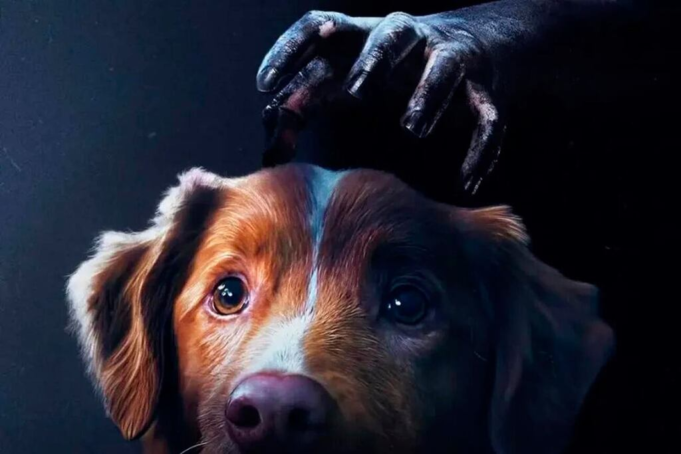 La-pelicula-de-terror-protagonizada-por-un-perro-estrenos-recomendados.png