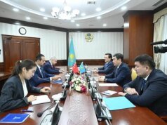 El vicepresidente del AK, Zorlu, mantuvo contactos en Kazajistán