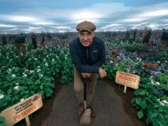 Los airplanes de Vinnie Jones para un retiro de tiro en el campo arruinados por expertos en lechuzas