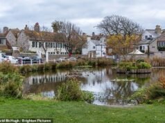 El consejo despertó acusado de “derribar” una de las aldeas más bonitas de Grandma Bretaña por sus airplanes de comprar casas pintorescas para alojamiento temporal