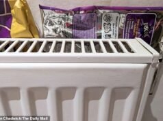 A los británicos se les pide que coloquen paquetes CRISP detrás de sus radiadores este otoño, pero ¿ realmente funciona?