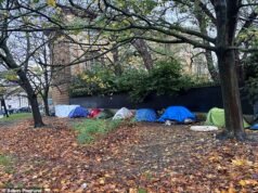 Un barrio de chabolas de inmigrantes aparece frente a una de las casas más emblemáticas de Londres, propiedad del multimillonario duque de Wellington.