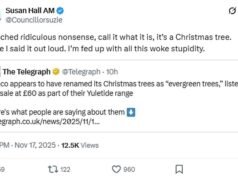 Los británicos están furiosos por la decisión de Tesco de cambiar el nombre de los árboles de Navidad a “árboles de hoja perenne”