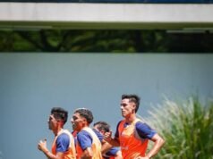 ¿ Cómo termina el año del Lobo?