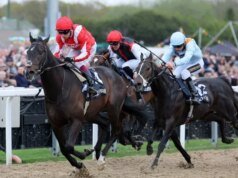 Consejos de carreras de caballos de Newsboy para las tres reuniones del martes, incluido Newcastle Nap