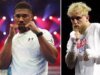 Tommy Fury resumió perfectamente a Jake Paul vs Anthony Joshua