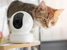 El boom de “pet tech”: nuevas tecnologías redefinen el cuidado de perros y gatos