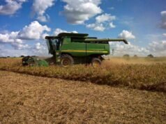 Inundaciones: las pérdidas alcanzarían US$2.000 millones