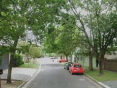 Una familia de Ringuelet blanco de una entradera