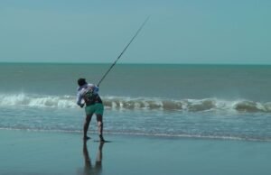 Corvinas, variada y la chance de un premio millonario en las playas del sur bonaerense