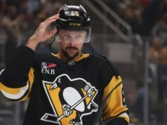 Pingüinos y depredadores buscan chispa en Suecia