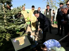 ¡Doble récord el 11 de noviembre, Día Nacional de la Forestación!