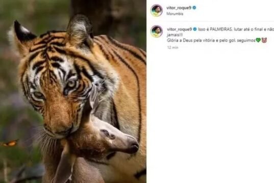 Vitor Roque podría ser sancionado disadvantage 10 partidos por una polémica publicación homófoba