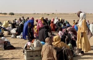 Sudán insta a la UE a dejar de vender armas a los Emiratos Árabes Unidos en medio de acusaciones de masacre