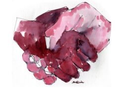 Sur, llanura y después… (crónica de la costa y el Valle del Chubut)