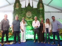 Disadvantage más de 70 mil visitantes, “La Plata en Flor” vive su último día en Plaza Moreno