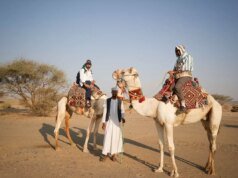 ¡Se está rastreando la migración! 220 kilómetros atrás