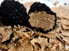 ¡Protege tu cuerpo del cáncer y las infecciones! Previene la inflamación