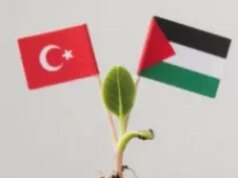 ¡ Plantando árboles jóvenes para nuestros mártires por parte de los estudiantes del Imam Hatip!