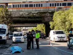 Fue atacado por un oso mientras pastaba al pet: ¡ le rompieron el pómulo!