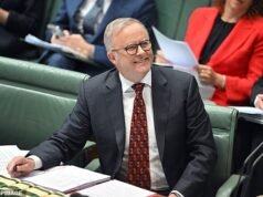 Los adolescentes australianos han abandonado el chat: la primera prohibición mundial de redes sociales para menores de 16 años entra en vigor y elimina más de 1,5 millones de cuentas: esto es lo que significa para YouTube, TikTok, Facebook, Instagram y más