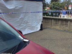 La verdad sobre la multa de estacionamiento de Bondi Beach que conmocionó a Australia después del ataque terrorista