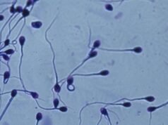 ¿ Puedes tener alergia al sperm? Descubre los síntomas, riesgos y cómo tratar esta enfermedad
