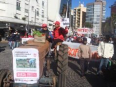 Productores del cordón frutihortícola de La Plata declaran la “emergencia productiva” y anuncian un corte en Ruta 36