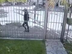 Solicitaron la prisión preventiva para el principal acusado por el crimen de Virginia Franco