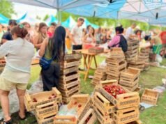 La frutilla avanza en las quintas y tuvo su fiesta