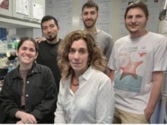 Sueño reparador: logran ver lo que pasa durante las noches en nuestras neuronas reloj