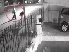 VIDEO. Un bebé recién nacido fue abandonado en una zanja