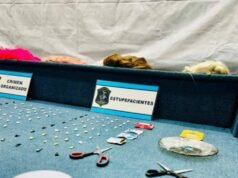 Zona Roja de La Plata: allanamientos, 13 detenidos y fuerte golpe al narcotráfico