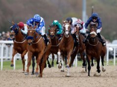 Selecciones de carreras de caballos de Newsboy para las cuatro reuniones del viernes, incluido Newcastle Nap