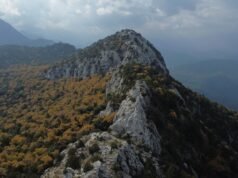 El ‘nido del águila’ Termessos ofrece una rara mezcla de vida silvestre y ruinas antiguas