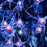 Darío Lopérfido tiene ELA: No se puede obligar a nadie a vivir cuando la vida es una tortura