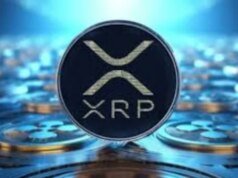 Bitcoin vs XRP, ¿cuál tiene mayor potencial de generar ganancias en 2026?