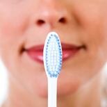 Si tenés carozos de aceituna en casa, tenés un tesoro: por qué y cómo reutilizarlos