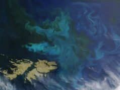 Una decisión que vulnera la soberanía argentina