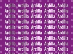 Acertijo visual: encontrá la palabra diferente a “ardilla” en menos de 9 segundos