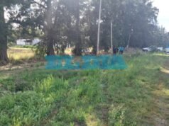 Tragedia en La Plata: ¿quién era el automovilista que perdió el control, chocó contra un árbol y murió?