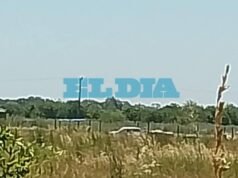 Alertan por obras ilegales en un humedal protegido de Ignacio Correas: denuncian violación de una orden judicial