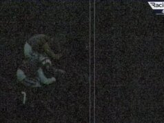 “” Estaba demasiado oscuro para la foto.”” – El entrenador de Harry Redknapp acepta la derrota tras la caótica carrera en Cheltenham