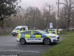 La víctima del asesinato disadvantage cuchillo en Guildford Woods es un escolar de 15 años, revela la policía mientras los investigatives dicen que la búsqueda del guilty es parte de una “investigación que avanza rápidamente”