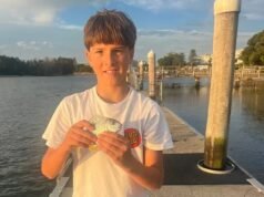 Un niño de 12 años muere en el hospital después del ataque de un tiburón en Sydney: una serie de ataques ponen a la ciudad al límite