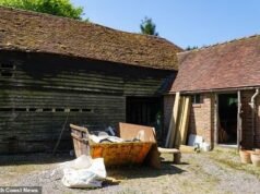 ¡Conociéndome, conociendo a Newt! El plan de la estrella de Alan Partridge, Steve Coogan, para mejorar su casa de £ 4 millones podría verse frustrado por un molesto anfibio